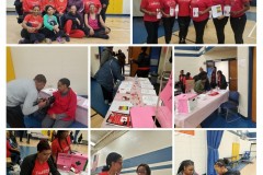 PGR-Collage-2